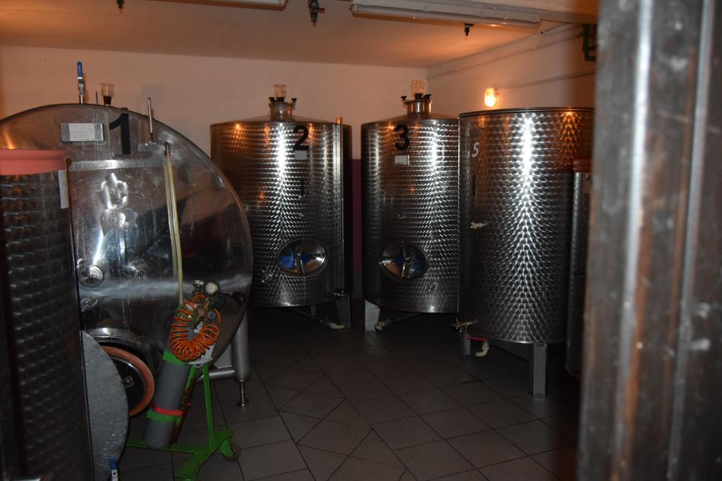 Farm Stay Frank Ozmec Wine And Glamping Estate Ljutomer Ngoại thất bức ảnh